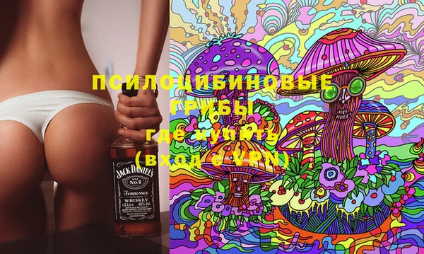 мет Арсеньев