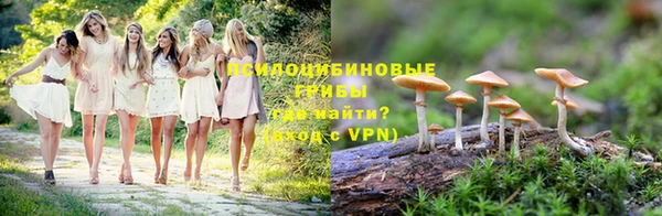 каннабис Аркадак