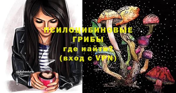 мет Арсеньев