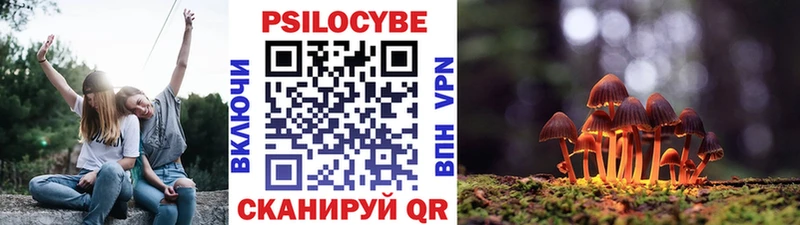даркнет сайт Болотное МЕГА зеркало Псилоцибиновые грибы Psilocybine cubensis